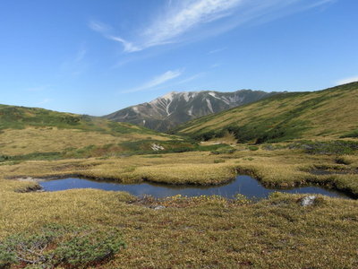 パラダイス赤木平