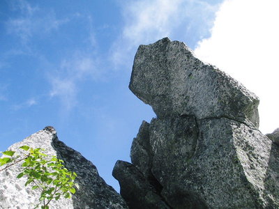 ●駒姐さん、このコースは冬季用だね