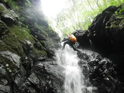 photo by ふ～さん