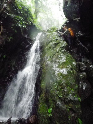 photo by ふ～さん