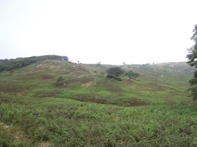 見通しの良い御池岳.jpg (180.08 KiB) 閲覧された回数 2132 回 御池岳はいい見晴らしだった