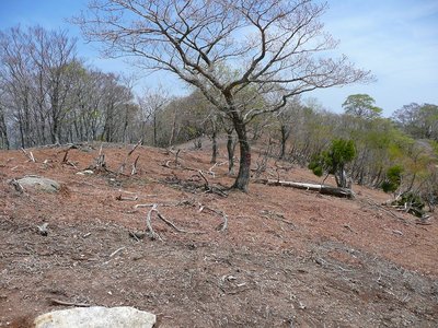 １１年５月１５日銚子が口から銚子 044.jpg
