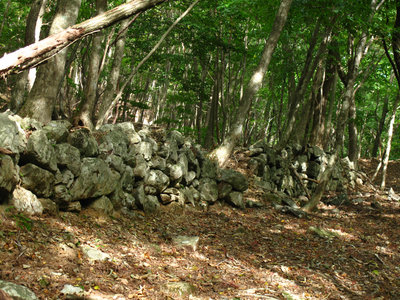 大蔵鉱山精錬所