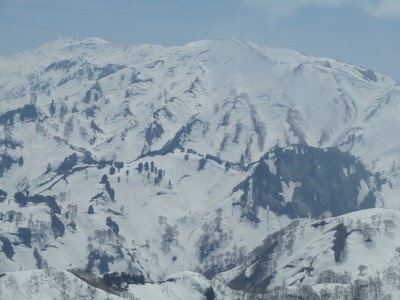 こいつが問題や