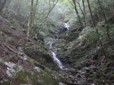 P1040415.jpg (79.48 KiB) 閲覧された回数 3366 回 右俣の2連滝