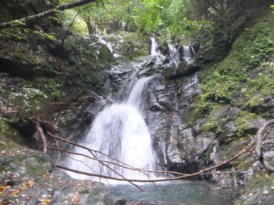 P1040406.jpg (105.04 KiB) 閲覧された回数 3374 回 5m滝