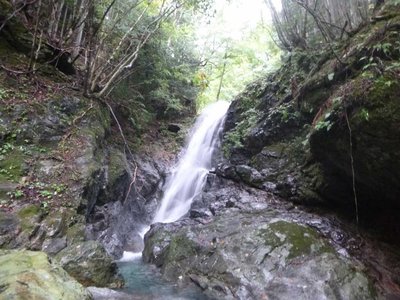 P1040404.jpg (97.22 KiB) 閲覧された回数 3374 回 8m滝 左岸巻き