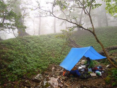 驟雨の森でランチ。