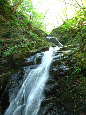 鉄砲谷出合滝