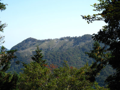 御神木からみる千秋峰