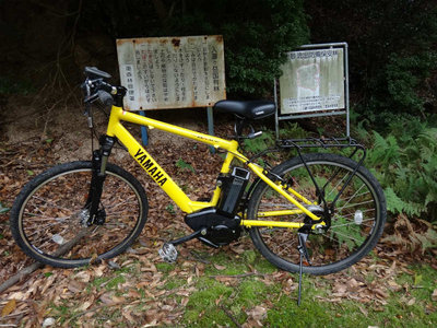 DSC02218.jpg (97.93 KiB) 閲覧された回数 6307 回 YAMAHA PAS Brace XL