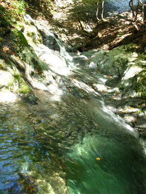 IMG_7624.jpg (643.05 KiB) 閲覧された回数 4377 回 木屋谷