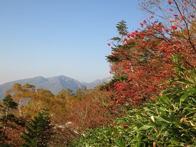 bessan2695.jpg (293.72 KiB) 閲覧された回数 4803 回 ナナカマドの実と白山釈迦岳