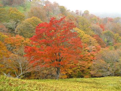 IMG_6192.jpg (785.71 KiB) 閲覧された回数 2884 回 昨年の第三劇場