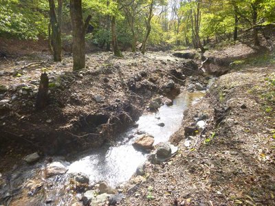 P1040572.jpg (156.68 KiB) 閲覧された回数 5599 回 真ノ谷の様子