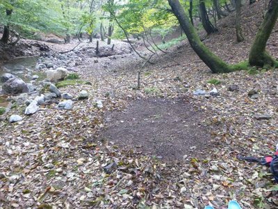 P1040534.jpg (154.55 KiB) 閲覧された回数 5599 回 きれいに整地しました