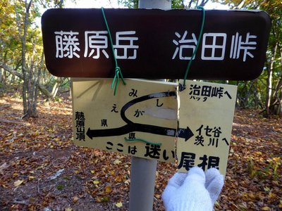 迷い尾根分岐点の標識