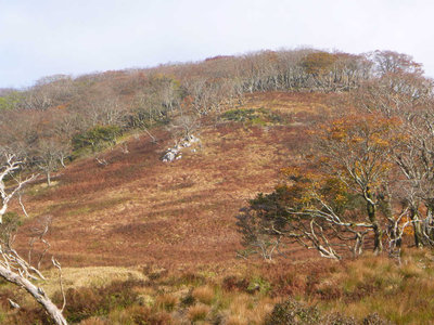 テーブルランドの草紅葉