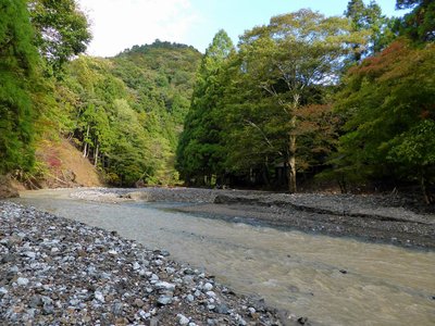 増水した茶屋川の様子