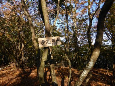多志田山－直進すると孫太尾根へ