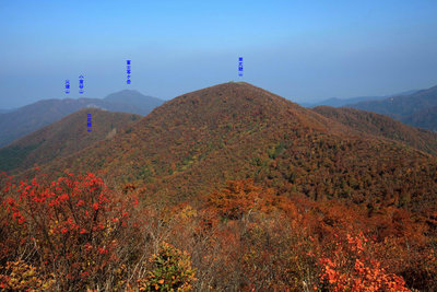 IMG_3465のコピー.jpg (430.88 KiB) 閲覧された回数 2764 回 浄法寺山山頂から南丈競山を望む