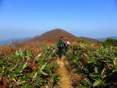 笹原の稜線を南丈競山に向かう