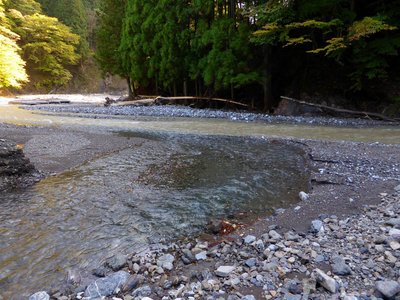 帰りも水量は変わらなかった