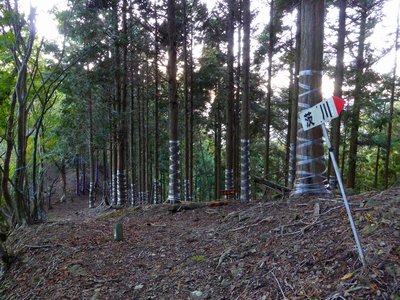 ノタノ坂に戻ってきた