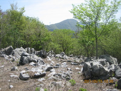 20110515tengudo_manno 009.jpg (1.11 MiB) 閲覧された回数 16534 回 明るい大見晴