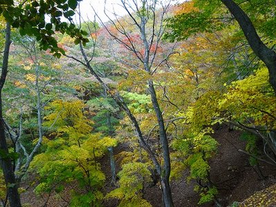 DSC00494.jpg (114.56 KiB) 閲覧された回数 5678 回 西オモタザカ道にて