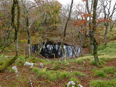 DSC00509.jpg (113.64 KiB) 閲覧された回数 5678 回 幸助の池(わりばしさん用)