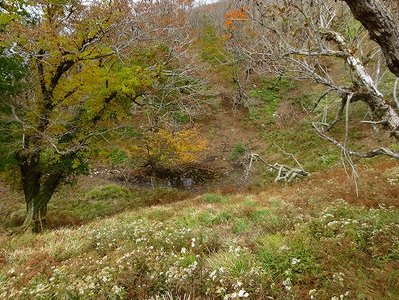 DSC00523.jpg (109.76 KiB) 閲覧された回数 5678 回 昼食場