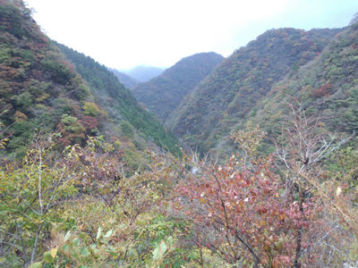 DSC_0013.jpg (192.47 KiB) 閲覧された回数 3697 回 保月手前より権現谷を見下ろす