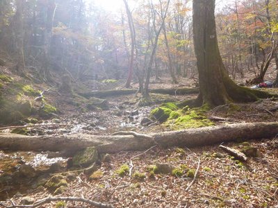 P1040624.jpg (122.75 KiB) 閲覧された回数 4119 回 テン泊地のせせらぎ