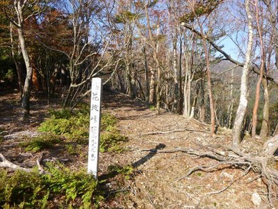 P1040598.jpg (185.9 KiB) 閲覧された回数 4661 回 花抜峠