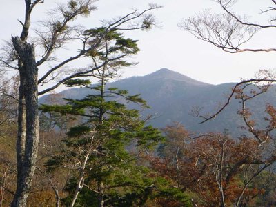 嘉茂助谷ノ頭（西南峰）