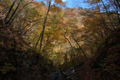 鉄砲滝口.JPG (177.14 KiB) 閲覧された回数 4904 回 滝口はこんな感じ。ちょっとコントラストが強すぎて・・・と言い訳