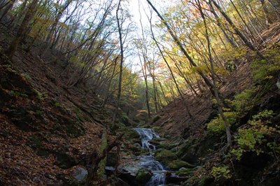 さまざまな風景がコンパクトに収まってました