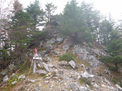 P1040756.jpg (118.83 KiB) 閲覧された回数 2643 回 裕嵓