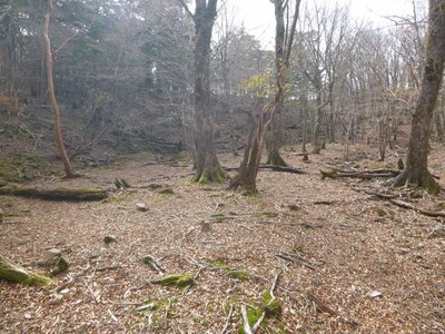 P1040727.jpg (144.33 KiB) 閲覧された回数 2646 回 先週のテン泊地(やっぱりいい)