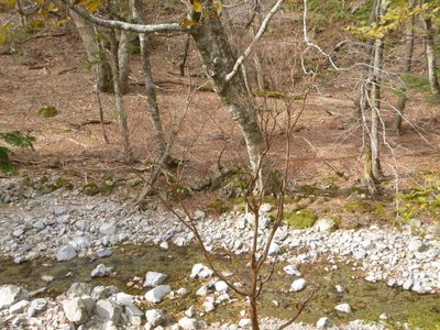 P1040718.jpg (146.38 KiB) 閲覧された回数 2641 回 地池谷のテン泊適地