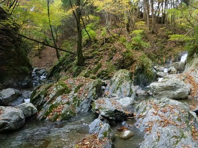 この日の奥山谷出合い。左の倒木のように見えるのが昔の橋の跡。よく残ってますよね。