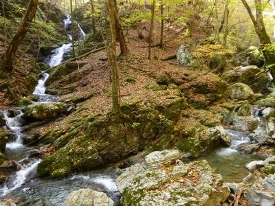 鉄砲谷出合い、左が鉄砲谷。多段の滝は高度計で測ると、昔の記録の通り３０ｍ。よく正確に測れたなと感心。