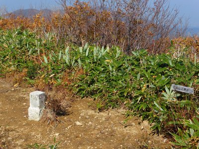 北丈競山の三等三角点