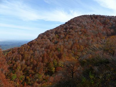 P1010074.JPG (226.51 KiB) 閲覧された回数 3153 回 前山付近の紅葉