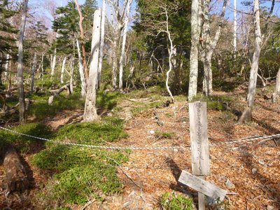 ミネコシ谷右岸尾根最初のロープ