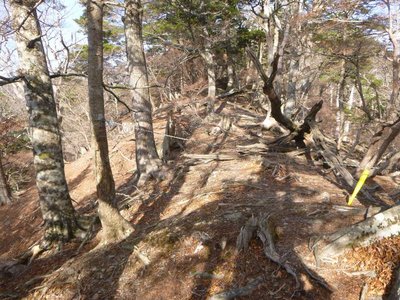 ミネコシ谷右岸尾根の2番目のロープ