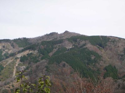 ミネコシ谷左岸尾根から見た嘉茂助谷ノ頭