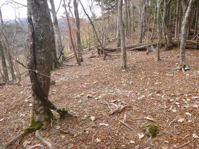 ミネコシ谷左岸尾根のロープ