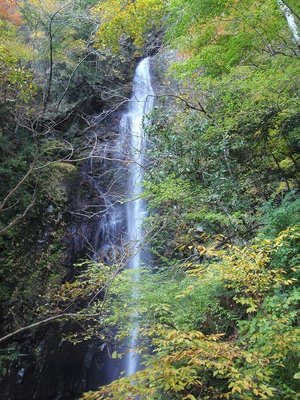高巻き途中からの高滝